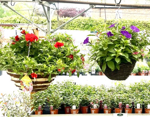Hanging Baskets